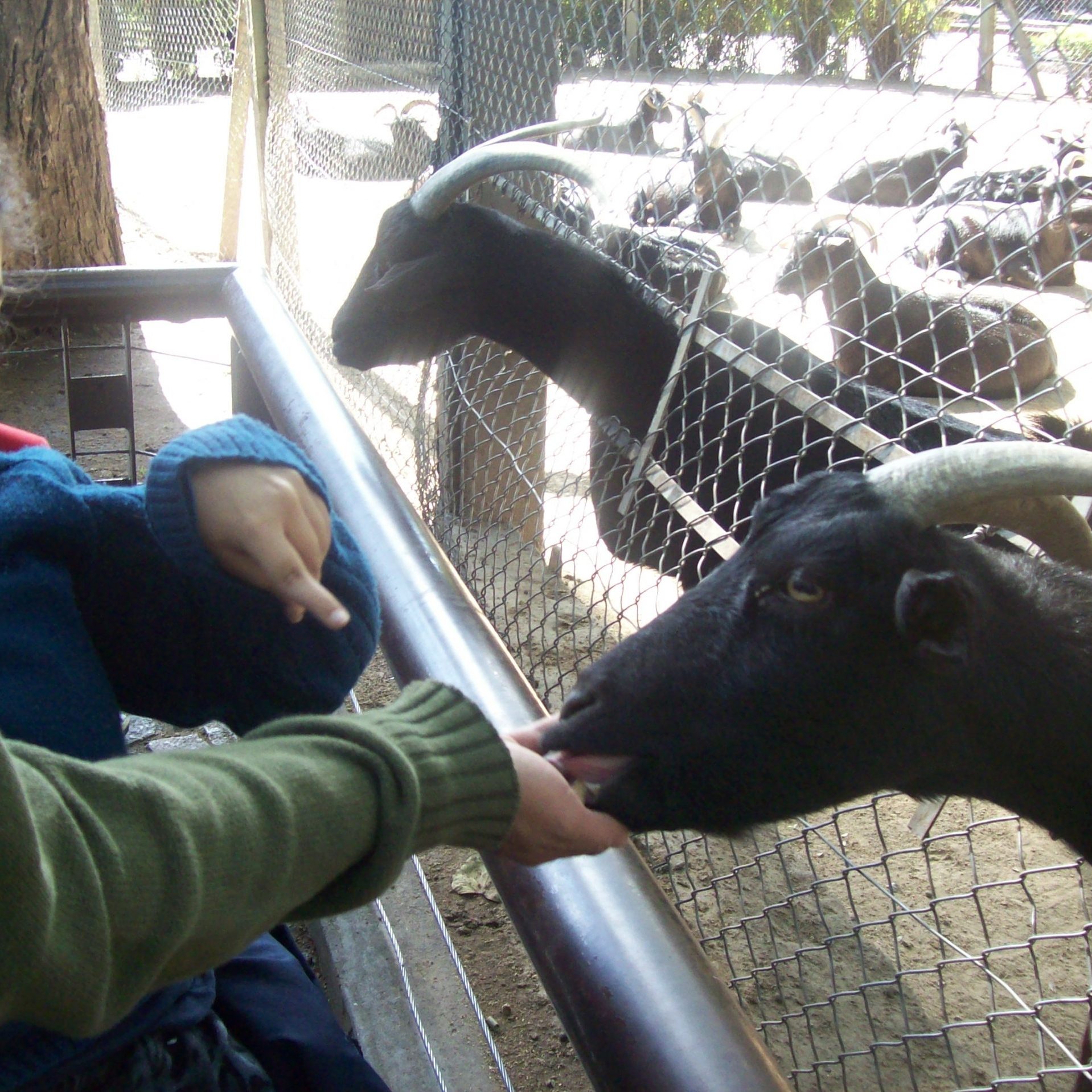 Agenda - Rukalen - Abril - 3